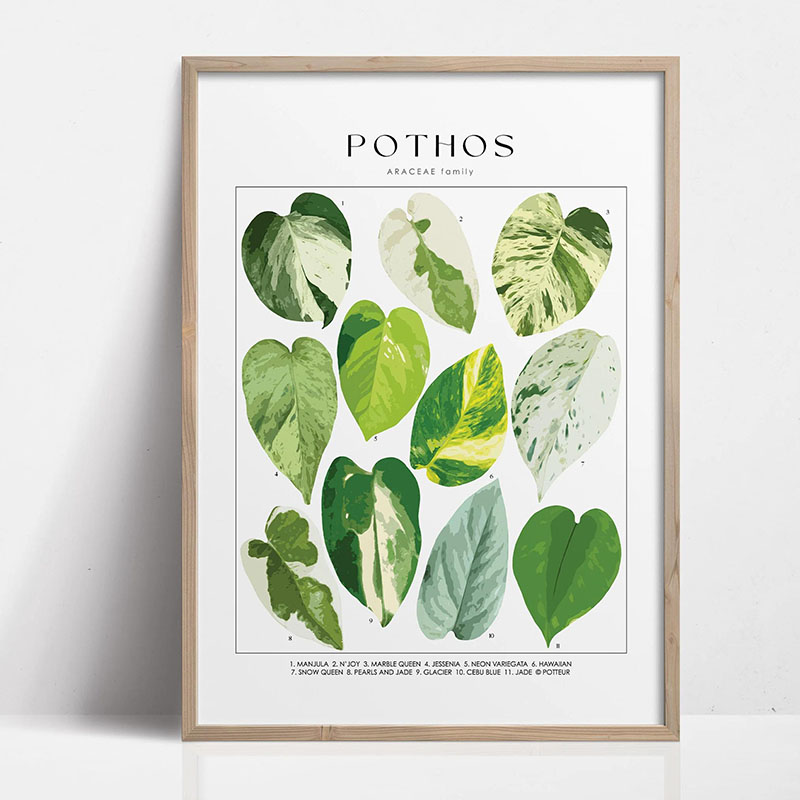 1pc Modern Houseplants Leaves  - Home Decor Design Interior ulasan dan harga