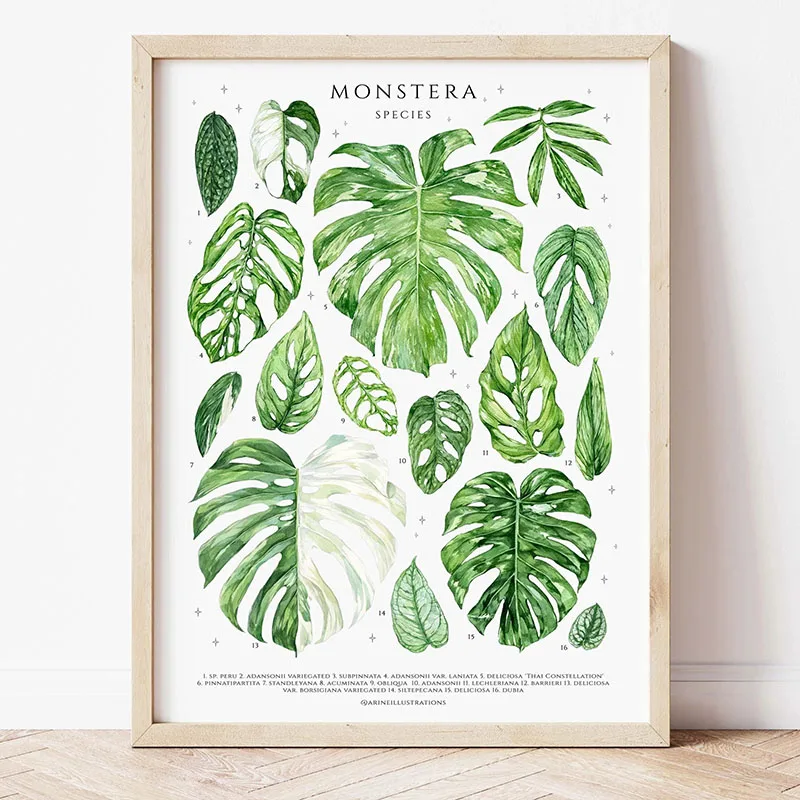 1pc Modern Houseplants Leaves  - Home Decor Design Interior ulasan dan harga