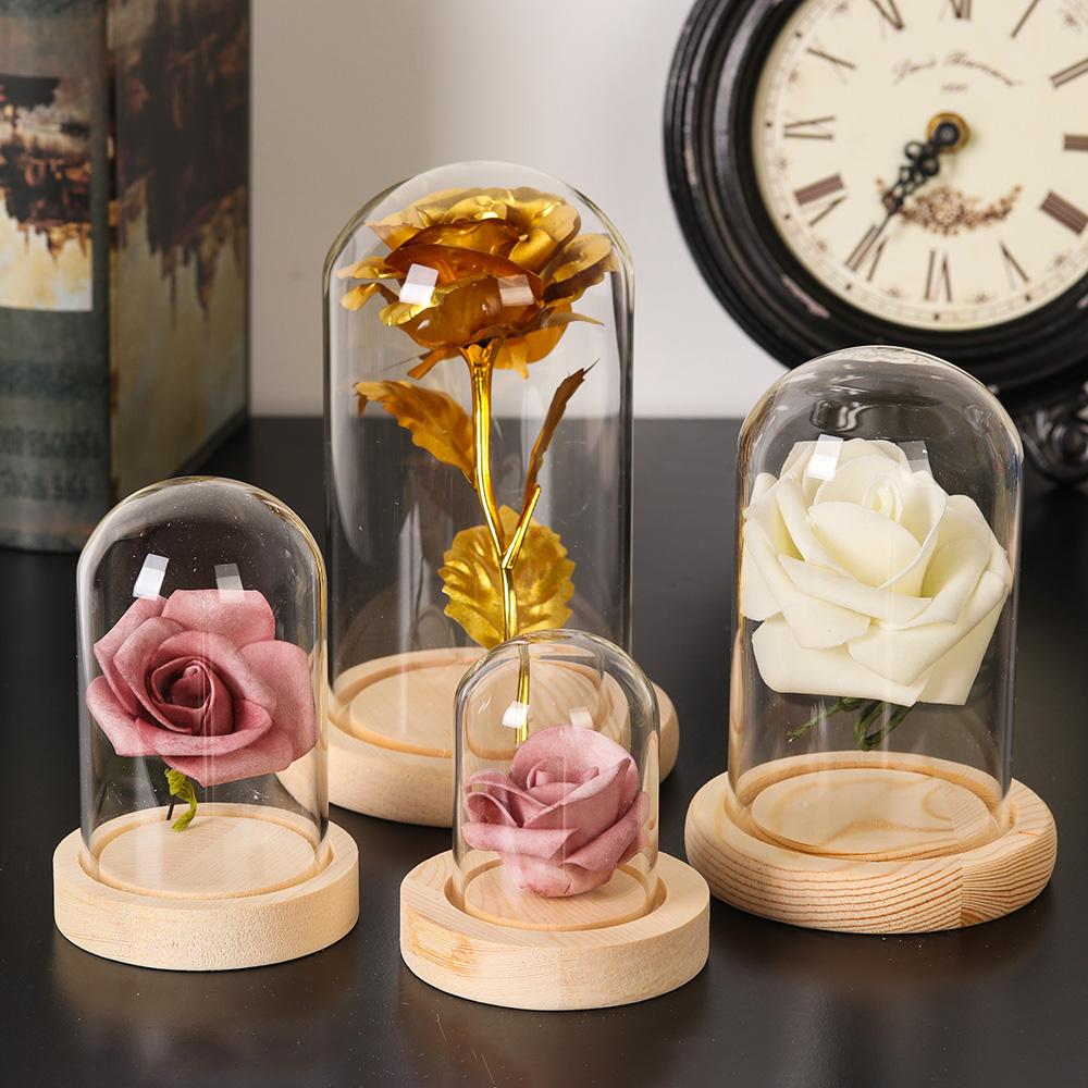 Home Decor Plants Jar Terrariu - Home Decor Flowers ulasan dan harga