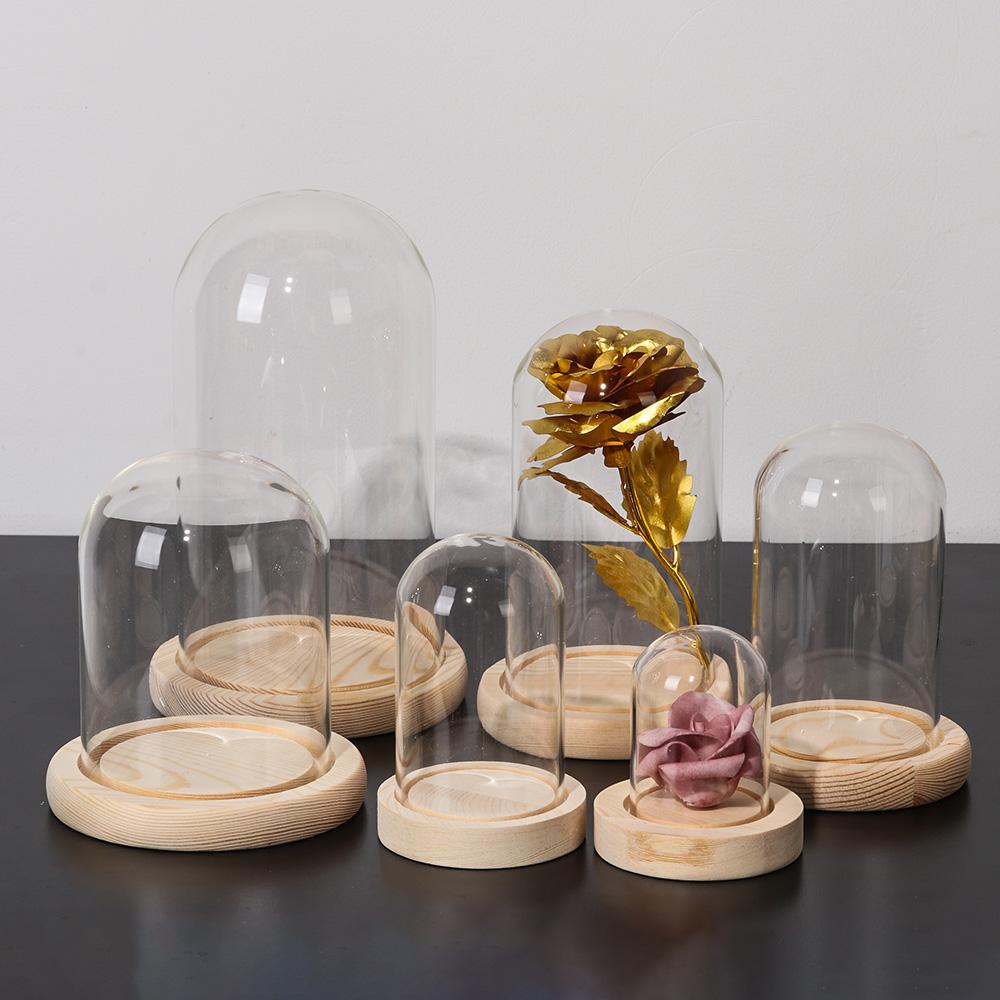 Fairy Lights Home Decor Terrar - Home Decor Flowers ulasan dan harga